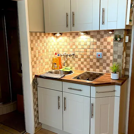 Apartmán Alpine Mit Sauna Und Pool *